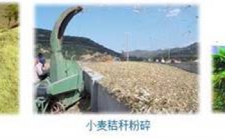 農(nóng)民科學(xué)發(fā)展新思路，秸稈綜合利用成為賺錢好門路之秸稈顆粒機(jī)