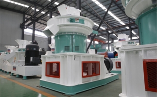 木屑顆粒機(jī)多少錢一臺？生產(chǎn)廠家告訴你