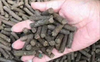 水果渣越來越受歡迎，因為它的出現(xiàn)—生物質(zhì)顆粒機設(shè)備