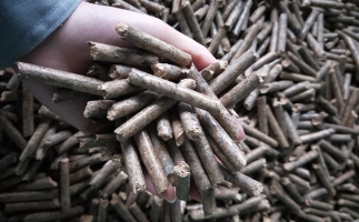 鋸末顆粒機(jī)顆粒，一種快速增長(zhǎng)的能源載體