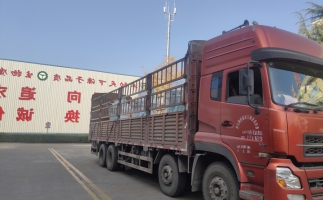 忙碌的五月，忙碌的發(fā)貨，金格瑞顆粒機生產(chǎn)線發(fā)往全國各地