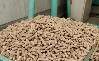 在燃燒時(shí)，水分大的生物質(zhì)顆粒會(huì)出現(xiàn)哪些問(wèn)題？