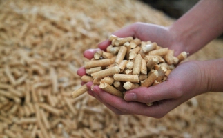 黟縣洪星鄉(xiāng)：“鋸末顆粒機的小顆?！睋Q來綠富雙贏