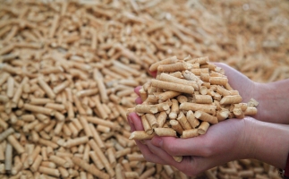 鋸末顆粒機生物質(zhì)顆粒，你需要知道的常識問題