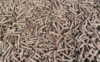 鋸末顆粒機加工的顆粒燃料價格主要受哪幾個方面的影響？