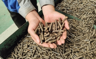 干貨：木屑顆粒機(jī)出料短且顆粒松散的原因分析