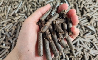 生物質(zhì)顆粒燃料公司前景怎么樣，木屑顆粒機(jī)的顆粒燃料賣給誰的？