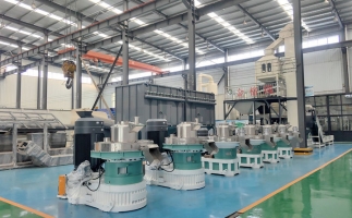 木屑顆粒機(jī)節(jié)能減排效果評估