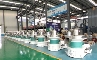 新手開顆粒廠，該選小型還是大型木屑顆粒機(jī)？